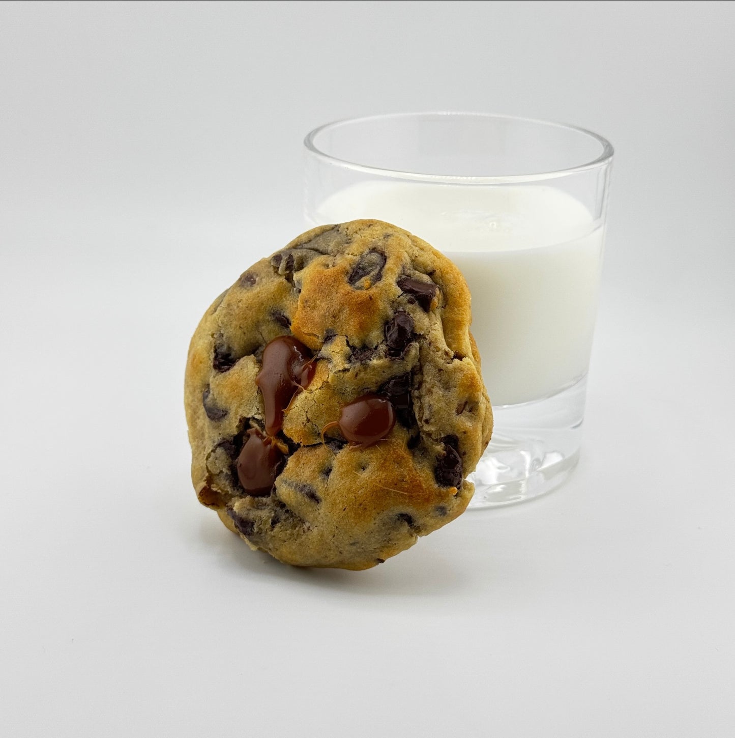 Turtle Cookie