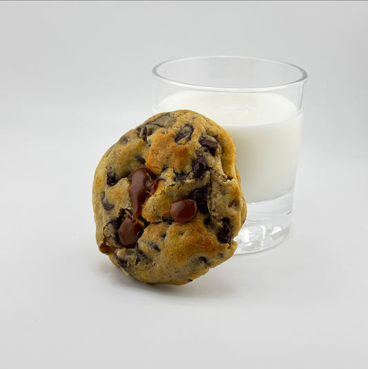 Turtle Cookie